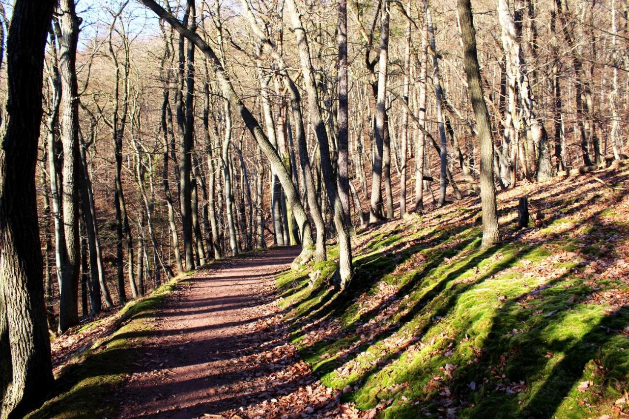 Burghof Kyffhaeuser Bad Frankenhausen Zewnętrze zdjęcie