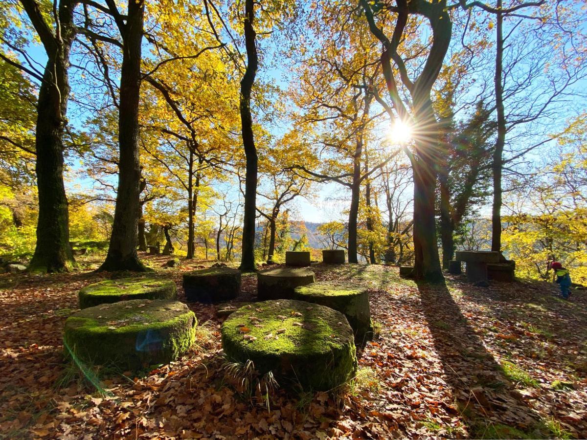 Burghof Kyffhaeuser Bad Frankenhausen Zewnętrze zdjęcie