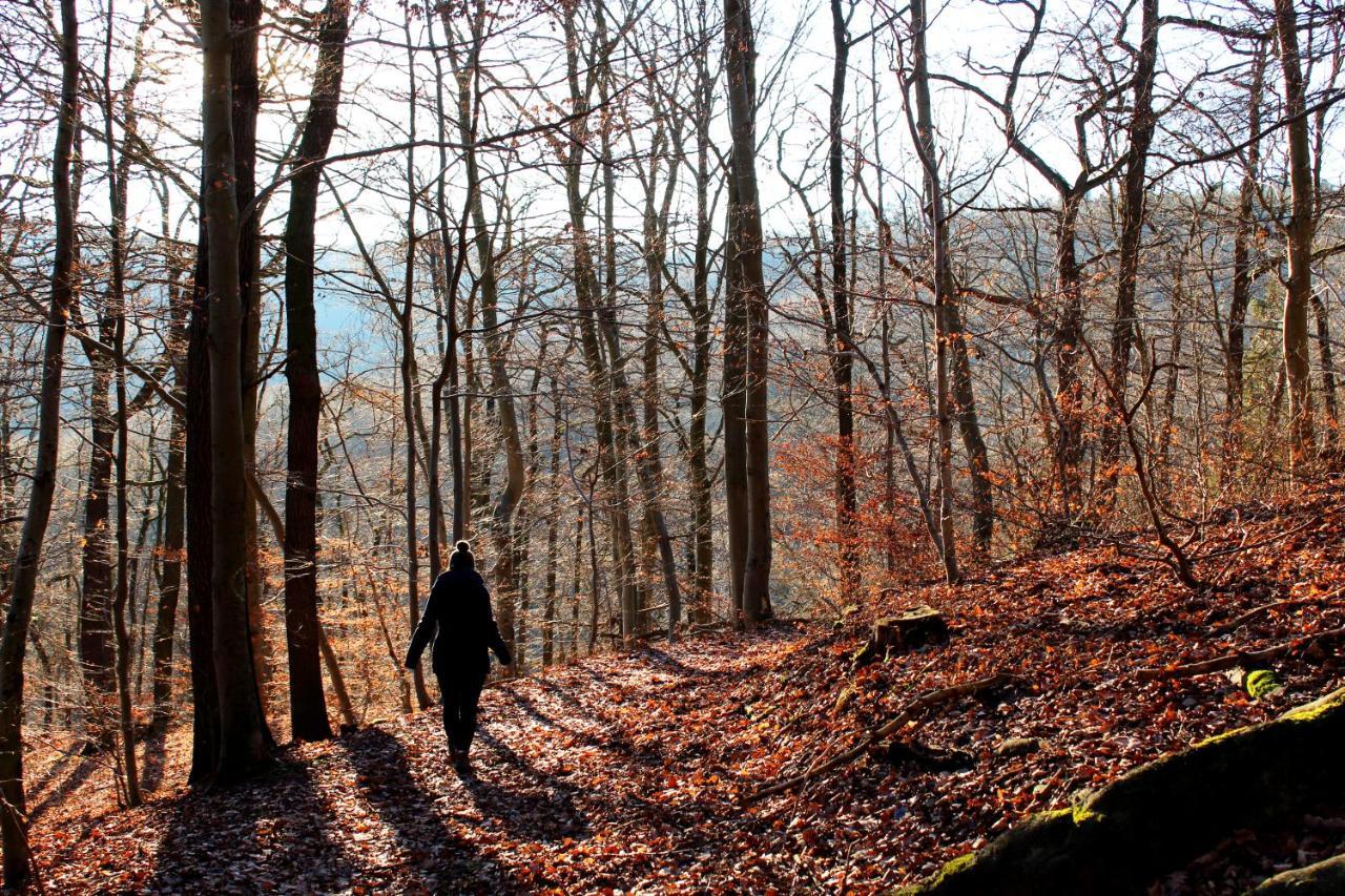 Burghof Kyffhaeuser Bad Frankenhausen Zewnętrze zdjęcie