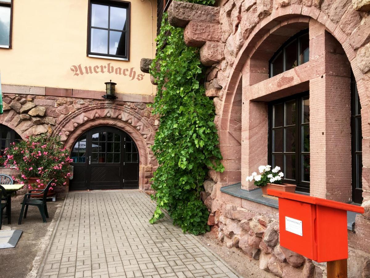 Burghof Kyffhaeuser Bad Frankenhausen Zewnętrze zdjęcie