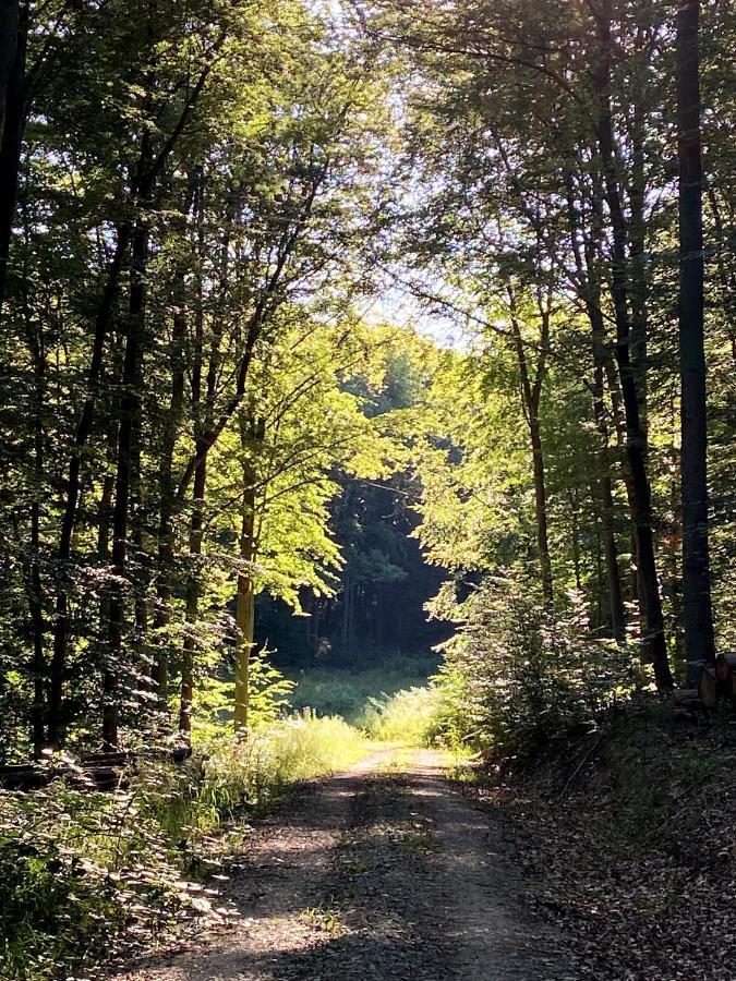Burghof Kyffhaeuser Bad Frankenhausen Zewnętrze zdjęcie