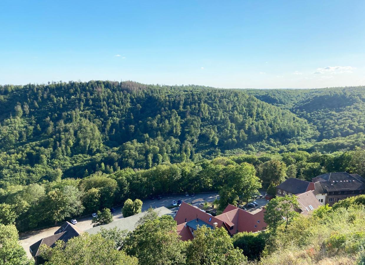 Burghof Kyffhaeuser Bad Frankenhausen Zewnętrze zdjęcie