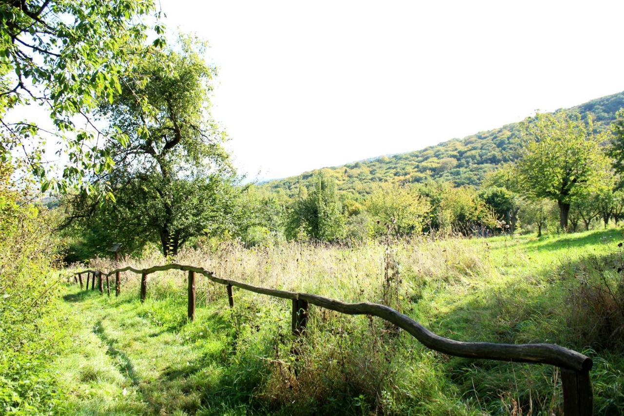 Burghof Kyffhaeuser Bad Frankenhausen Zewnętrze zdjęcie